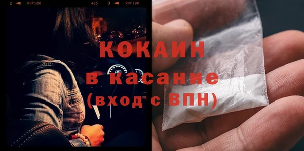 дживик Бронницы