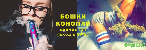дживик Бронницы