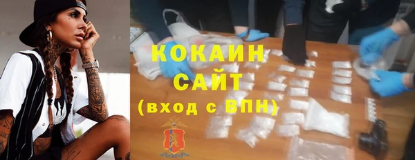 дживик Бронницы