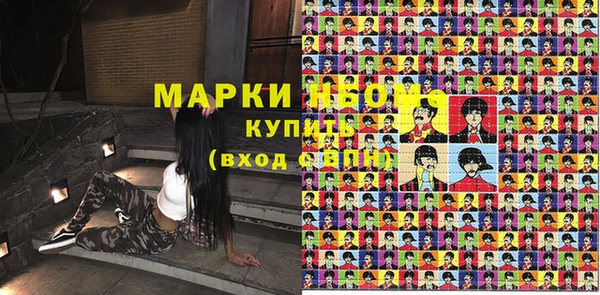 гидропоника Бородино