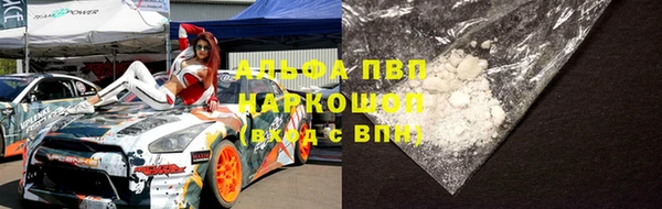 гидропоника Бородино
