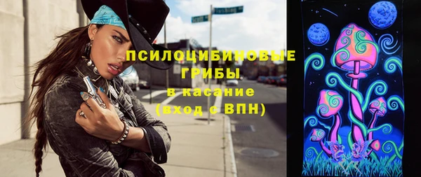 гидропоника Бородино