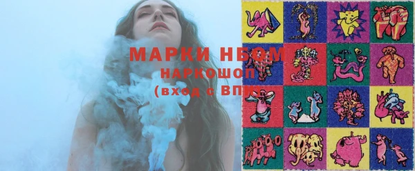 дживик Бронницы