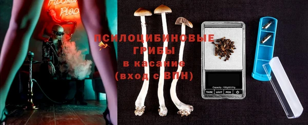 дживик Бронницы