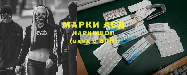 дживик Бронницы